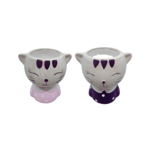 Chacepôs de gatinhos